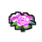 Pink and White Marigolds Icon.png